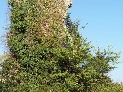 Château d'Aillas