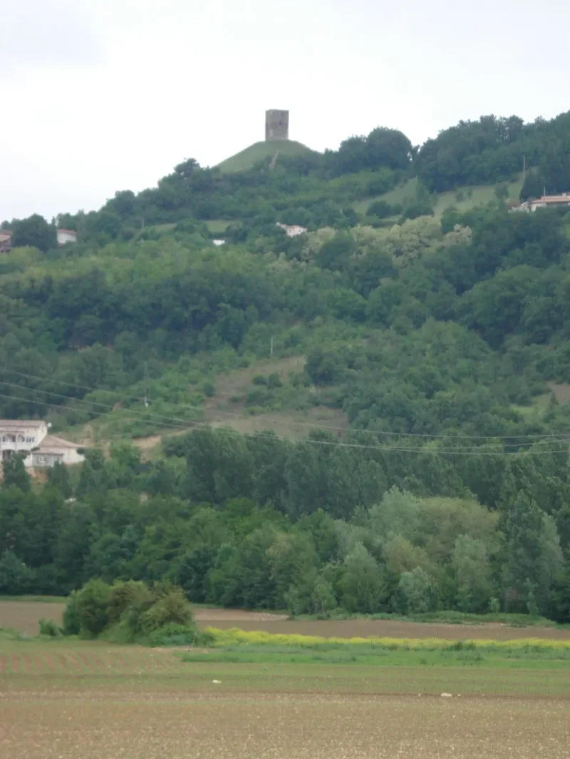 Château d'Albon