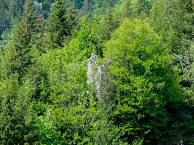 Château d’Entremont