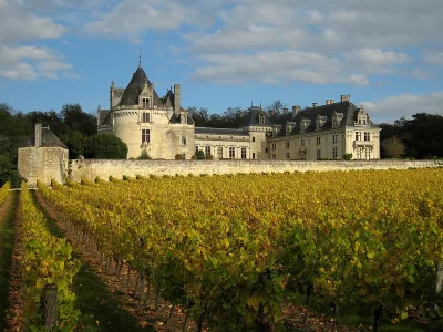Château de Brézé