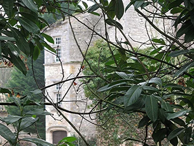 Château de Buffières