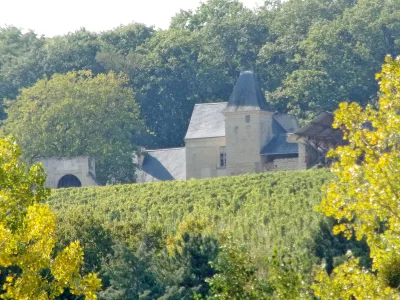 Château de Cravant