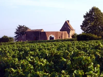 Château de Leynes