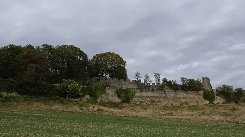 Château de Montchenu