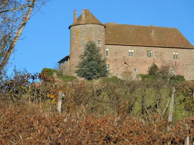 Château de Montperroux