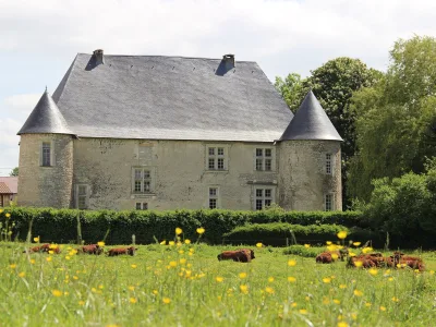 Château de Neuville-en-Verdunois
