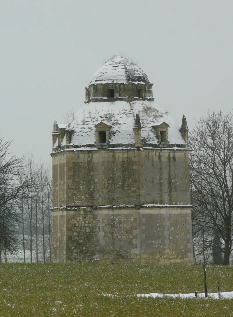 Château de Roncée