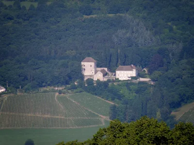 Château de Saint-Innocent