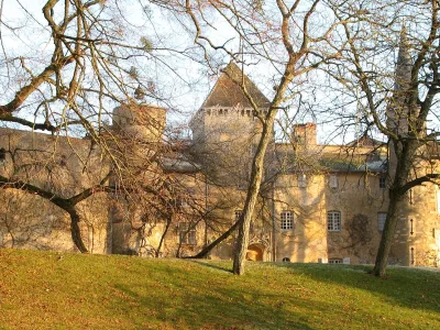 Château de Saint-Point