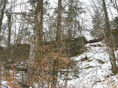 Château du Châtelard