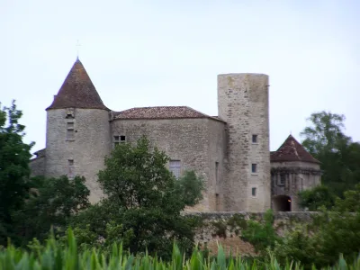 Château du Puch de Gensac