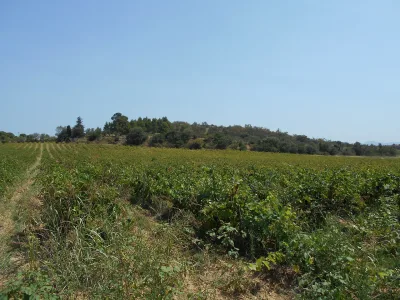 Château du Réart