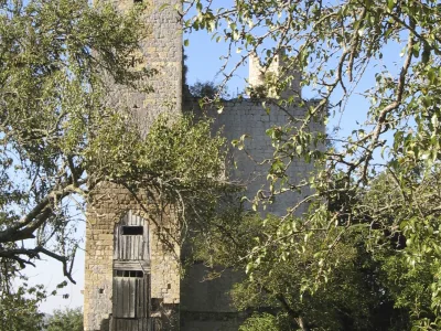 Château du Tauzia