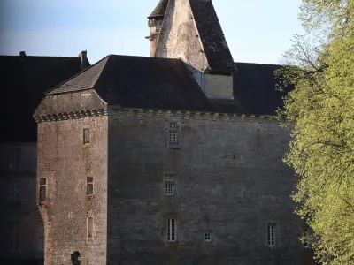 Château vieux de Thenissey