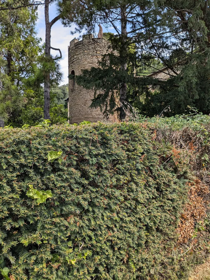 Domaine de Murat-Fontlozier