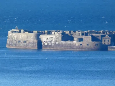 Fort de l'île Pelée