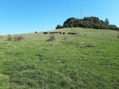 Motte castrale de Chaillon