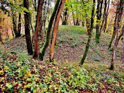 Motte castrale de la Malatière
