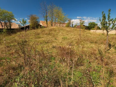 Motte castrale de Meyenheim