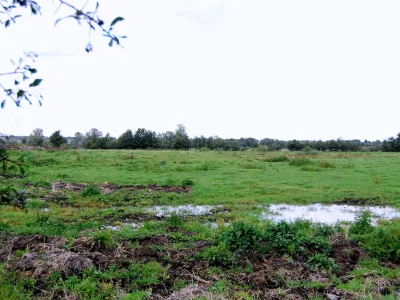 Motte féodale d'Aulnoye-Aymeries