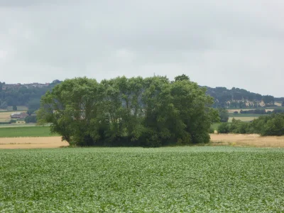 Motte féodale d'Oudezeele