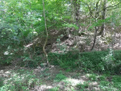 Motte féodale de Panassac