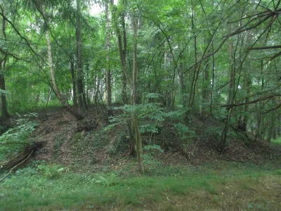 Motte féodale Garenne-de-la-Motte
