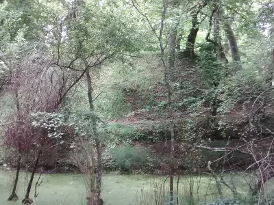 Motte Saint-Albe