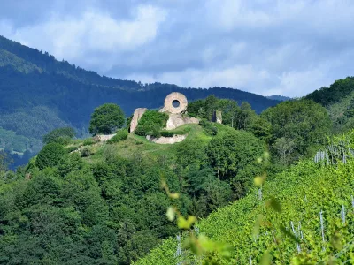 Ruines du château d'Engelbourg