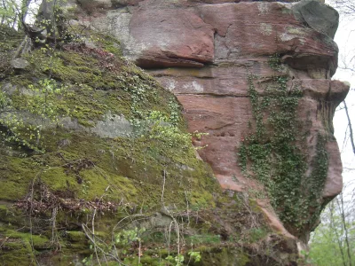 Ruines du château de Falkenstein