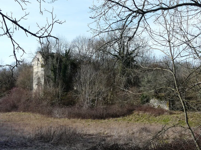 Ruines du château de Jovelle