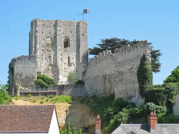 Forteresse de Montrichard